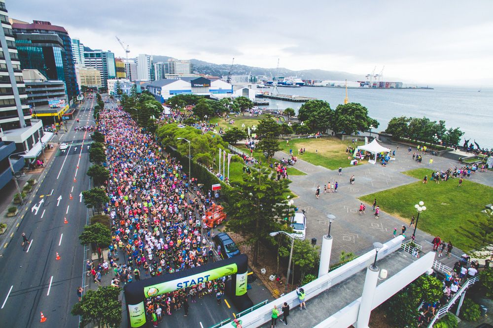 2016 11 03 Round the bays