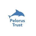 4. PelorusTrust